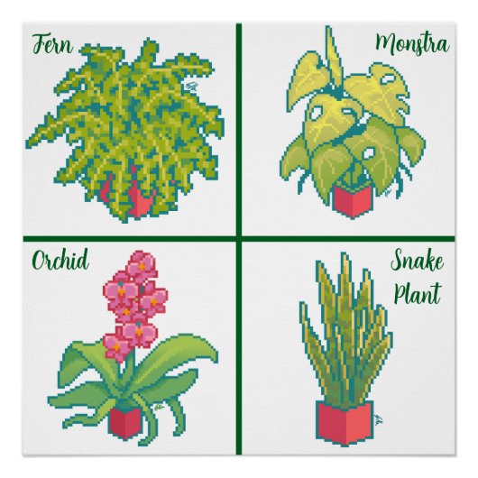 Monstera, Fern, Orchid, snake plant. Pixel art Perfect Poster (Voorkant)