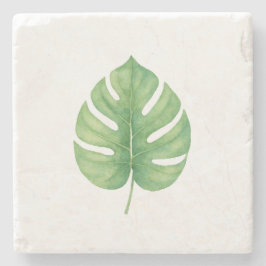 Monstera Grene Blad Stenen Onderzetter