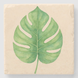 Monstera groen blad ontwerp. stenen onderzetter