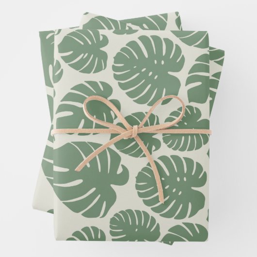 Monstera - groen inpakpapier vel (In situ)