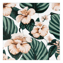 Monstera laat hibiscus achter