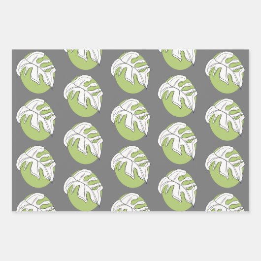 Monstera Leaf Abstract Plant Illustratie grijs Inpakpapier Vel (Voorkant)
