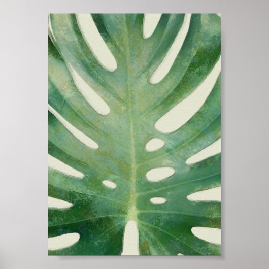 Monstera leaf poster (Voorkant)