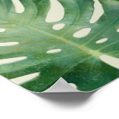 Monstera leaf poster (Hoek)