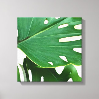 Monstera Leaves Canvas Afdruk