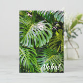 Monstera Leaves, Limahuli Gardens, Kauai, Hawaii Kaart (Staand voorkant)