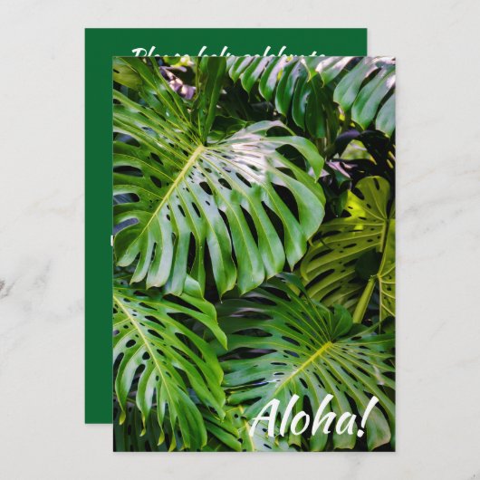 Monstera Leaves, Limahuli Gardens, Kauai, Hawaii Kaart (Voorkant / Achterkant)