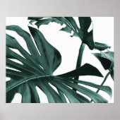 Monstera Leaves Poster (Voorkant)
