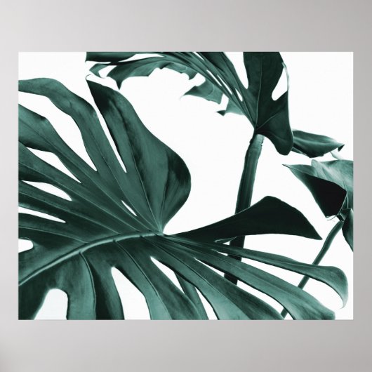 Monstera Leaves Poster (Voorkant)