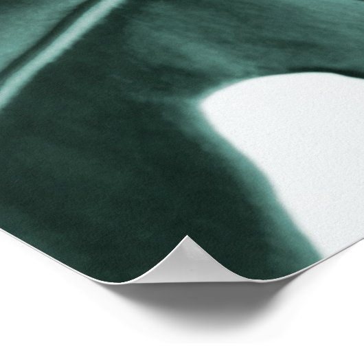 Monstera Leaves Poster (Hoek)