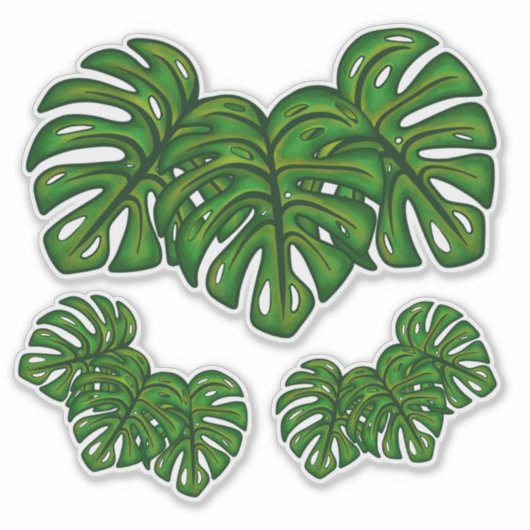 Monstera Leaves Sticker (Voorkant)