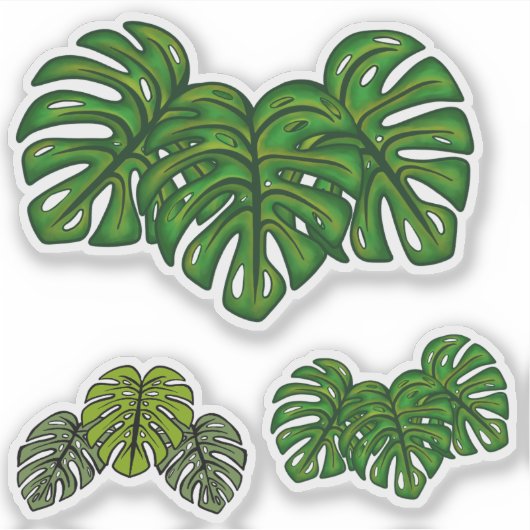 Monstera Leaves Sticker (Voorkant)