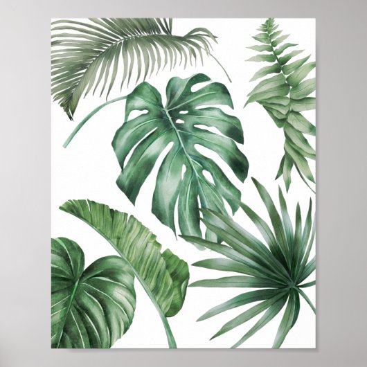 Monstera Palm laat tropische moderne Waterverf ove Poster (Voorkant)