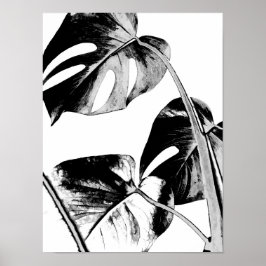 monstera palmbladeren tropisch zwart en wit poster