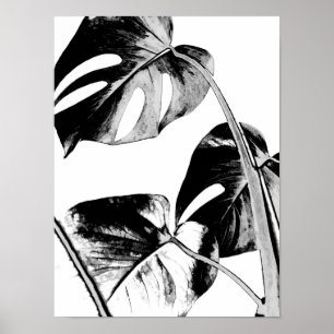 monstera palmbladeren tropisch zwart en wit poster