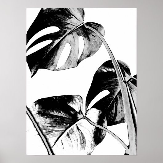 monstera palmbladeren tropisch zwart en wit poster (Voorkant)