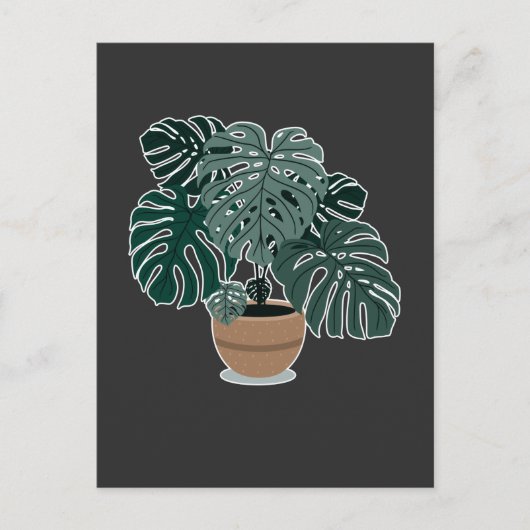 Monstera Plant Beauful Houseplant Briefkaart (Voorkant)