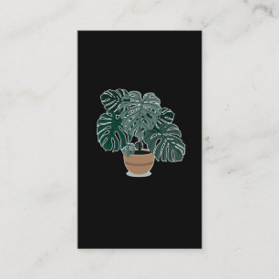 Monstera Plant Beauful Houseplant Visitekaartje