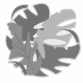 Monstera plant blad Car Decal Sticker (Voorkant)