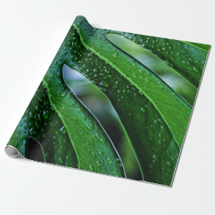 Monstera plant bladgroen cadeaupapier