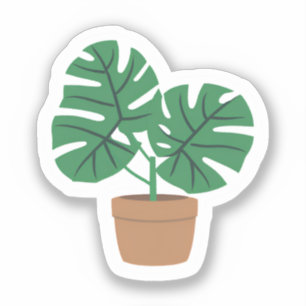 Monstera Plant   Cute Groene Pothos Plant Sticker