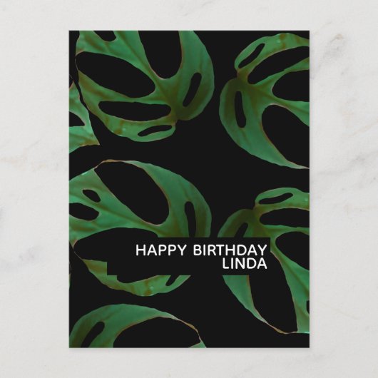 Monstera Plant Patroon Illustratie Blad Verjaardag Briefkaart (Voorkant)