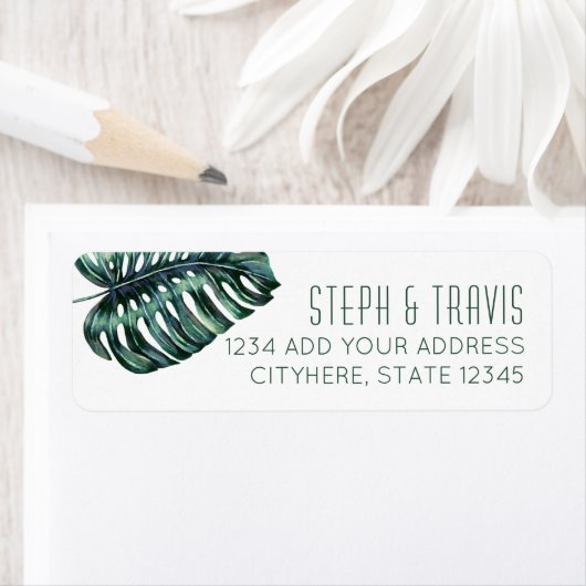 Monstera Plant retouradres Etiket (Insitu)