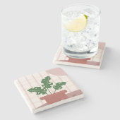 Monstera Planten Terracotta Pset Background Roze Stenen Onderzetter (Zijkant)