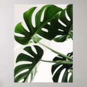 Monstera Poster (Voorkant)
