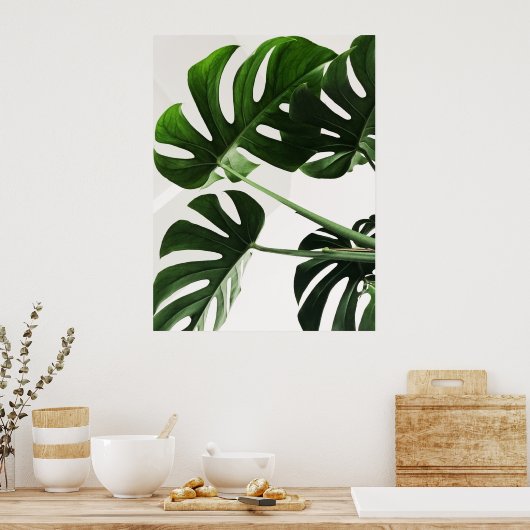 Monstera Poster (Keuken)