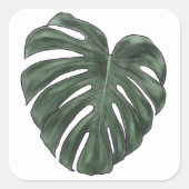 Monstera stickers (Voorkant)