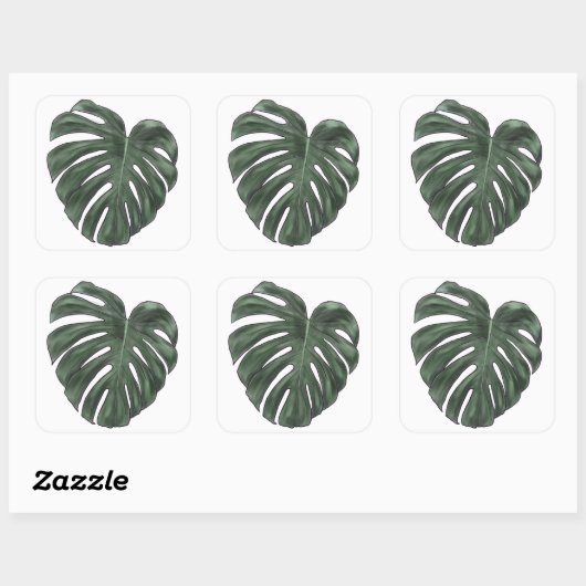 Monstera stickers (Vel)