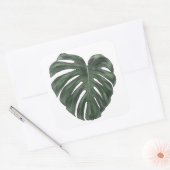 Monstera stickers (Envelop)