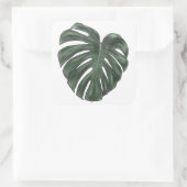 Monstera stickers (Tas)