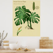 Monstera Swiss Cheese Botanical Poster (Keuken)