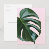Monstera Tropical Leaf Briefkaart (Voorkant / Achterkant)