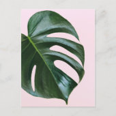 Monstera Tropical Leaf Briefkaart (Voorkant)