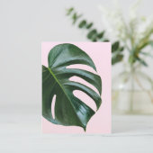 Monstera Tropical Leaf Briefkaart (Staand voorkant)