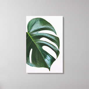 Monstera Tropical Leaf Canvas Afdruk