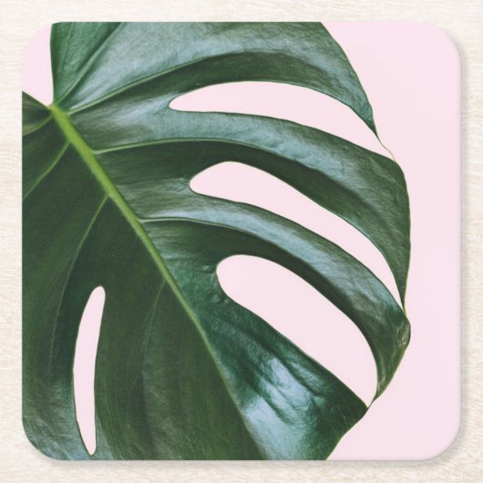 Monstera Tropical Leaf Kartonnen Onderzetters (Voorkant)