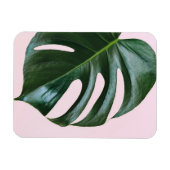 Monstera Tropical Leaf Magneet (Horizontaal)