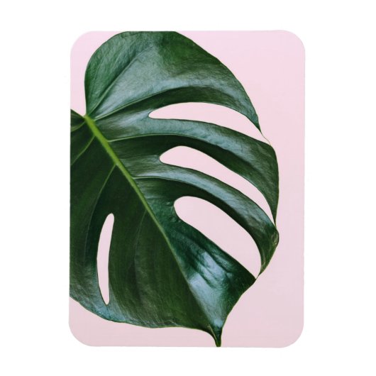 Monstera Tropical Leaf Magneet (Verticaal)