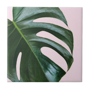 Monstera Tropical Leaf Tegeltje