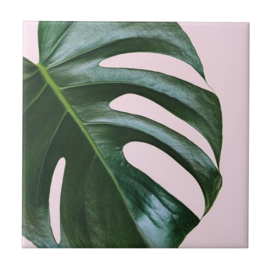 Monstera Tropical Leaf Tegeltje (Voorkant)