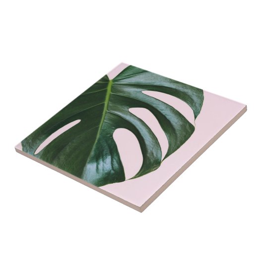 Monstera Tropical Leaf Tegeltje (Zijkant)