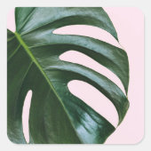Monstera Tropical Leaf Vierkante Sticker (Voorkant)