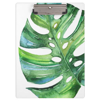 Monstera tropisch blad klembord - waterverf blad