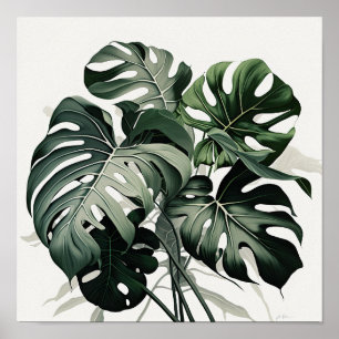 Monstera verlaat Art Print Poster