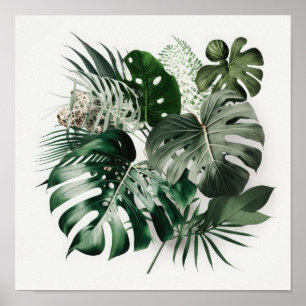 Monstera verlaat Art Print Poster