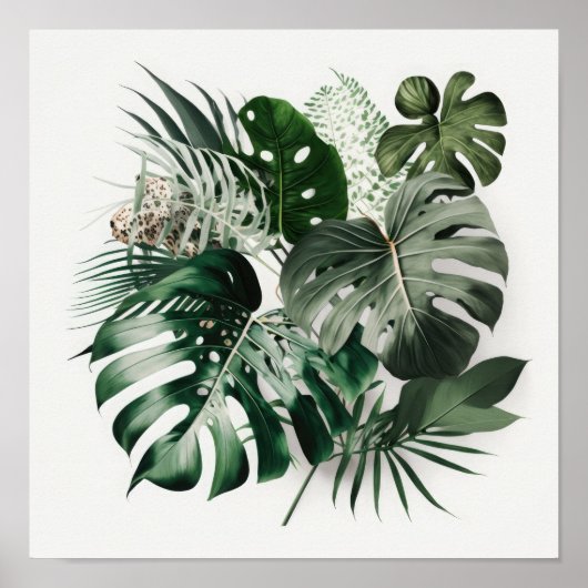 Monstera verlaat Art Print Poster (Voorkant)